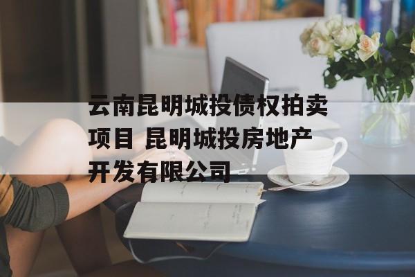 云南昆明城投债权拍卖项目 昆明城投房地产开发有限公司