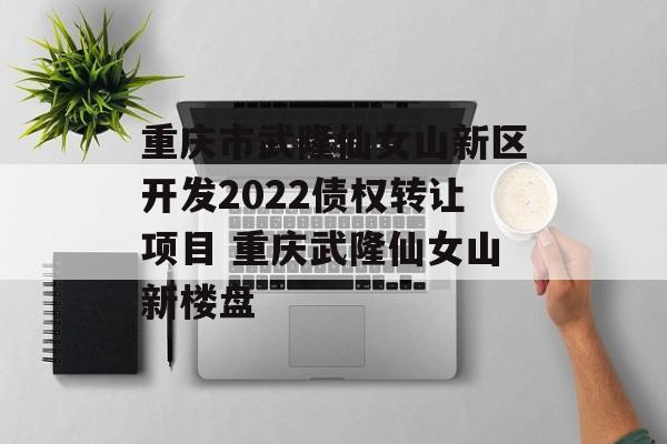 重庆市武隆仙女山新区开发2022债权转让项目 重庆武隆仙女山新楼盘