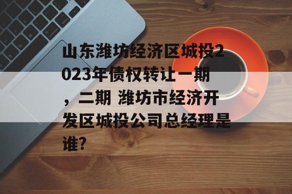 山东潍坊经济区城投2023年债权转让一期，二期 潍坊市经济开发区城投公司总经理是谁?