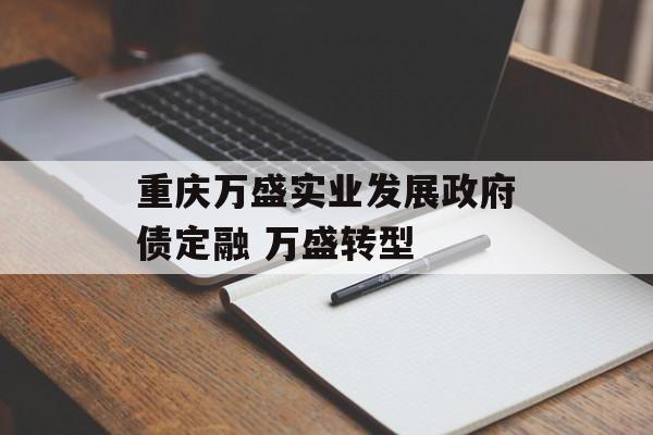 重庆万盛实业发展政府债定融 万盛转型