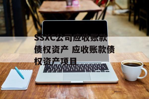 SSXC公司应收账款债权资产 应收账款债权资产项目