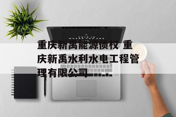 重庆新禹能源债权 重庆新禹水利水电工程管理有限公司