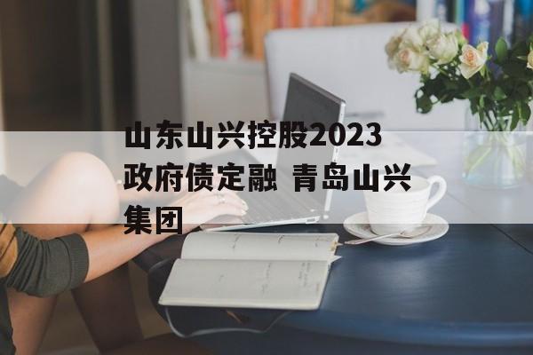 山东山兴控股2023政府债定融 青岛山兴集团