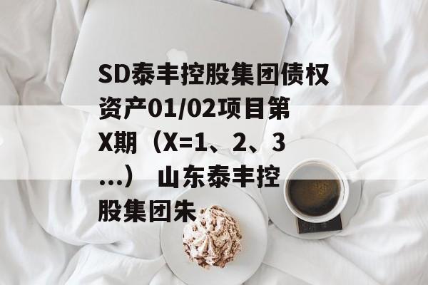 SD泰丰控股集团债权资产01/02项目第X期（X=1、2、3...） 山东泰丰控股集团朱