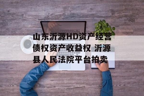 山东沂源HD资产经营债权资产收益权 沂源县人民法院平台拍卖