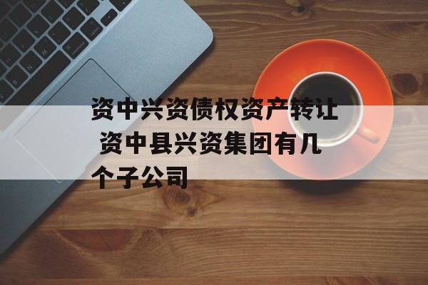 资中兴资债权资产转让 资中县兴资集团有几个子公司