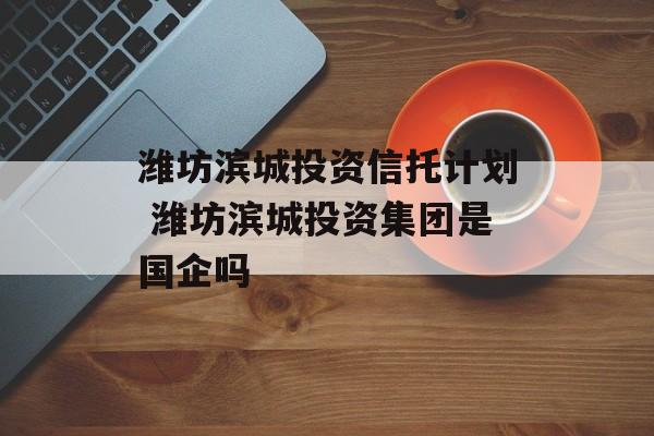 潍坊滨城投资信托计划 潍坊滨城投资集团是国企吗