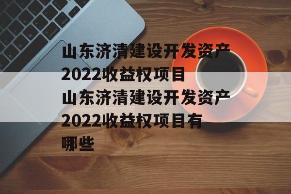 山东济清建设开发资产2022收益权项目 山东济清建设开发资产2022收益权项目有哪些