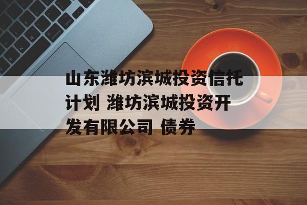 山东潍坊滨城投资信托计划 潍坊滨城投资开发有限公司 债券