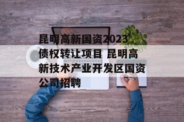 昆明高新国资2023债权转让项目 昆明高新技术产业开发区国资公司招聘