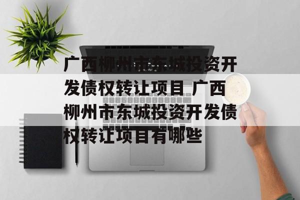 广西柳州市东城投资开发债权转让项目 广西柳州市东城投资开发债权转让项目有哪些