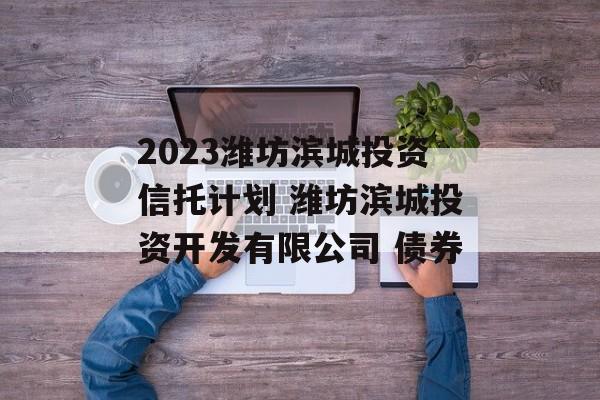 2023潍坊滨城投资信托计划 潍坊滨城投资开发有限公司 债券