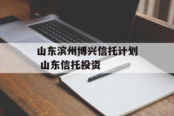 山东滨州博兴信托计划 山东信托投资