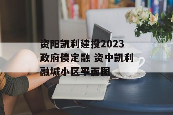 资阳凯利建投2023政府债定融 资中凯利融城小区平面图