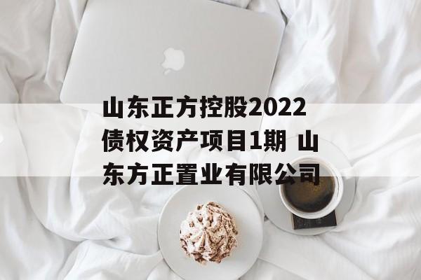 山东正方控股2022债权资产项目1期 山东方正置业有限公司