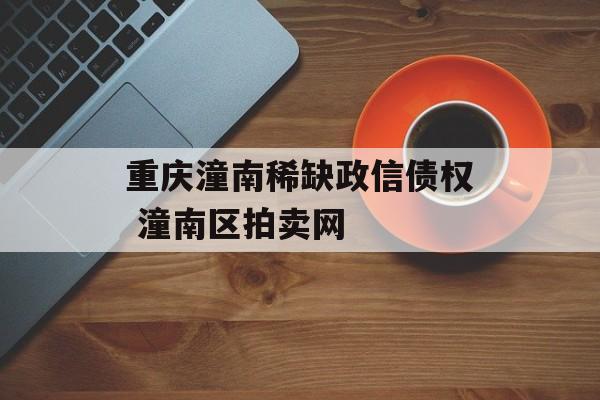 重庆潼南稀缺政信债权 潼南区拍卖网