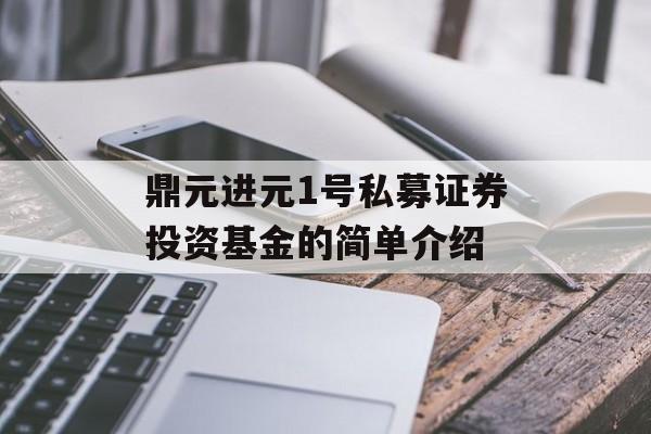 鼎元进元1号私募证券投资基金的简单介绍