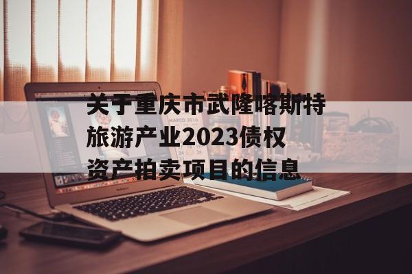 关于重庆市武隆喀斯特旅游产业2023债权资产拍卖项目的信息