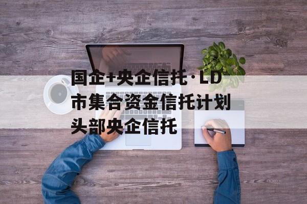 国企+央企信托·LD市集合资金信托计划 头部央企信托