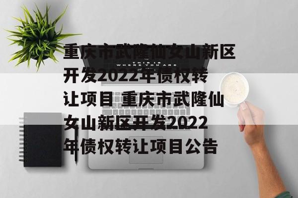 重庆市武隆仙女山新区开发2022年债权转让项目 重庆市武隆仙女山新区开发2022年债权转让项目公告