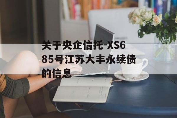 关于央企信托-XS685号江苏大丰永续债的信息