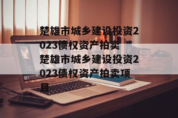 楚雄市城乡建设投资2023债权资产拍卖 楚雄市城乡建设投资2023债权资产拍卖项目