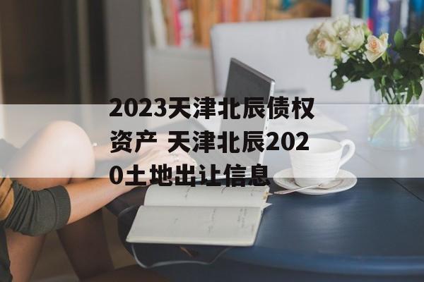 2023天津北辰债权资产 天津北辰2020土地出让信息