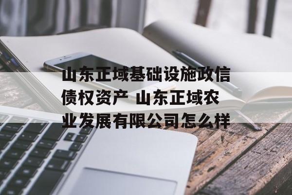 山东正域基础设施政信债权资产 山东正域农业发展有限公司怎么样