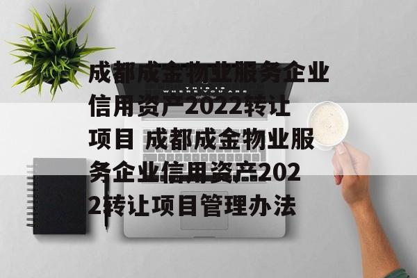 成都成金物业服务企业信用资产2022转让项目 成都成金物业服务企业信用资产2022转让项目管理办法