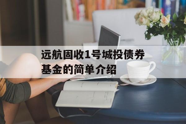 远航固收1号城投债券基金的简单介绍