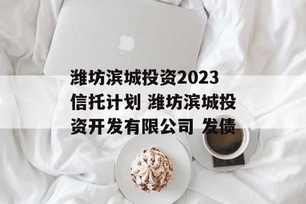 潍坊滨城投资2023信托计划 潍坊滨城投资开发有限公司 发债