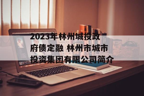 2023年林州城投政府债定融 林州市城市投资集团有限公司简介