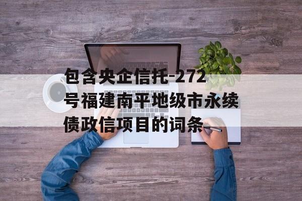 包含央企信托-272号福建南平地级市永续债政信项目的词条