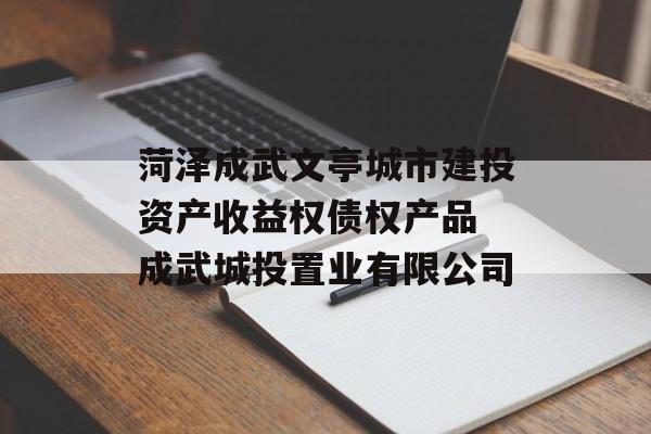 菏泽成武文亭城市建投资产收益权债权产品 成武城投置业有限公司