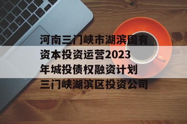 河南三门峡市湖滨国有资本投资运营2023年城投债权融资计划 三门峡湖滨区投资公司