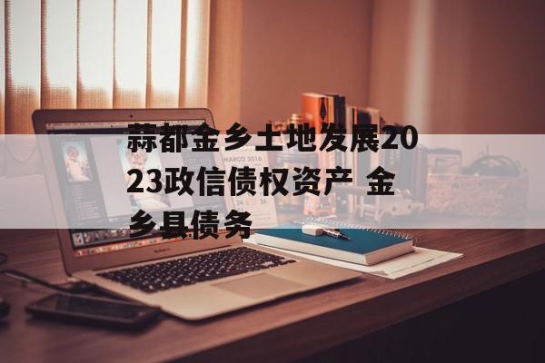 蒜都金乡土地发展2023政信债权资产 金乡县债务