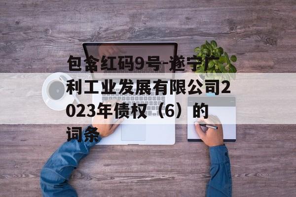 包含红码9号-遂宁广利工业发展有限公司2023年债权（6）的词条