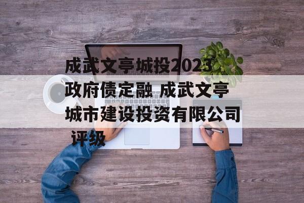 成武文亭城投2023政府债定融 成武文亭城市建设投资有限公司 评级