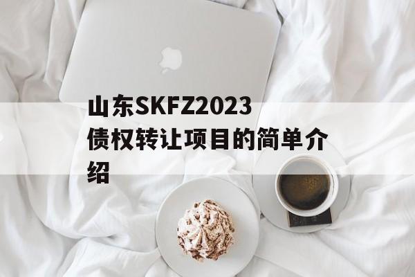 山东SKFZ2023债权转让项目的简单介绍