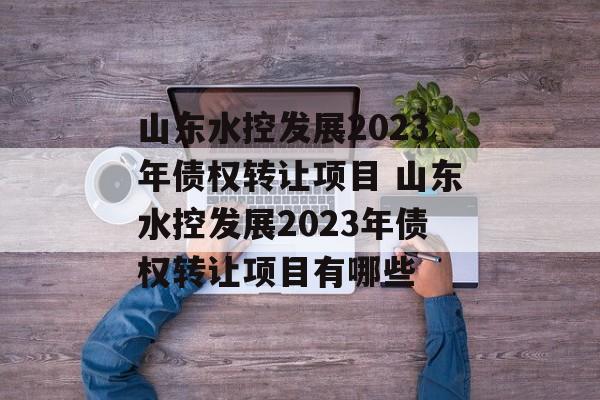 山东水控发展2023年债权转让项目 山东水控发展2023年债权转让项目有哪些