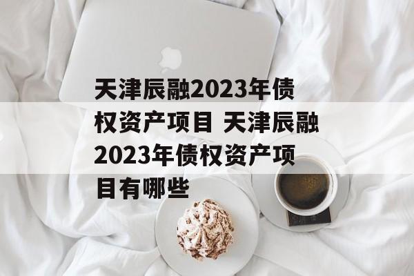 天津辰融2023年债权资产项目 天津辰融2023年债权资产项目有哪些