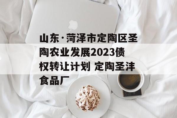 山东·菏泽市定陶区圣陶农业发展2023债权转让计划 定陶圣沣食品厂