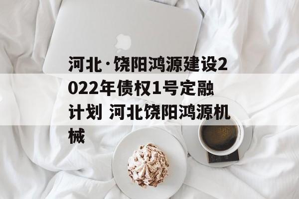 河北·饶阳鸿源建设2022年债权1号定融计划 河北饶阳鸿源机械