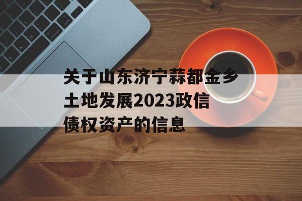 关于山东济宁蒜都金乡土地发展2023政信债权资产的信息