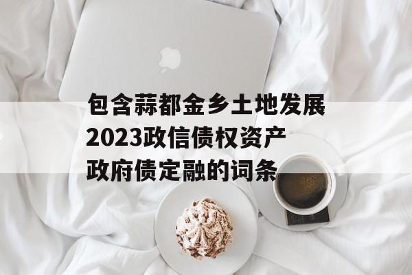 包含蒜都金乡土地发展2023政信债权资产政府债定融的词条