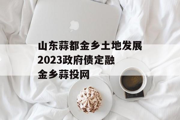 山东蒜都金乡土地发展2023政府债定融 金乡蒜投网