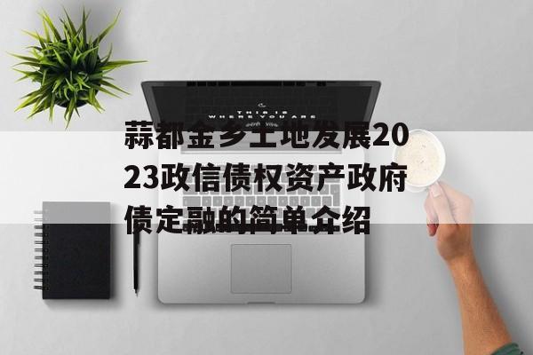 蒜都金乡土地发展2023政信债权资产政府债定融的简单介绍