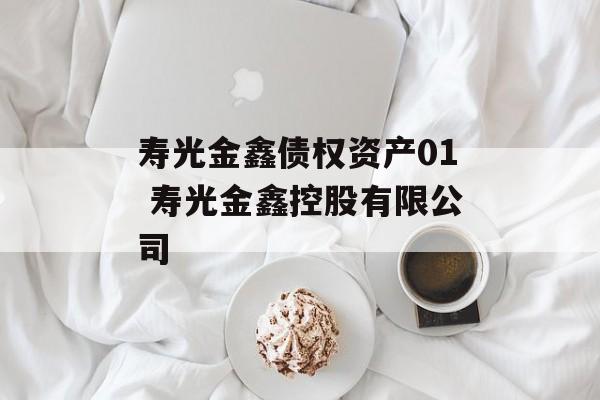 寿光金鑫债权资产01 寿光金鑫控股有限公司