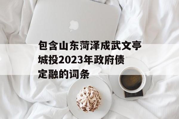 包含山东菏泽成武文亭城投2023年政府债定融的词条