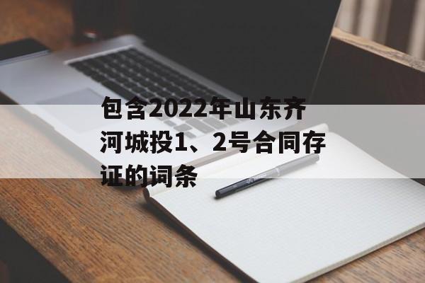 包含2022年山东齐河城投1、2号合同存证的词条